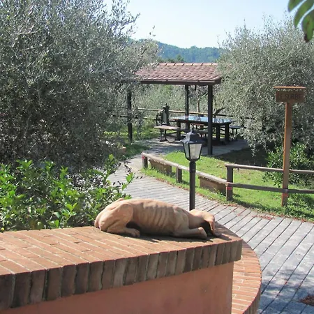 Tenuta Collalceppo * Nocchi