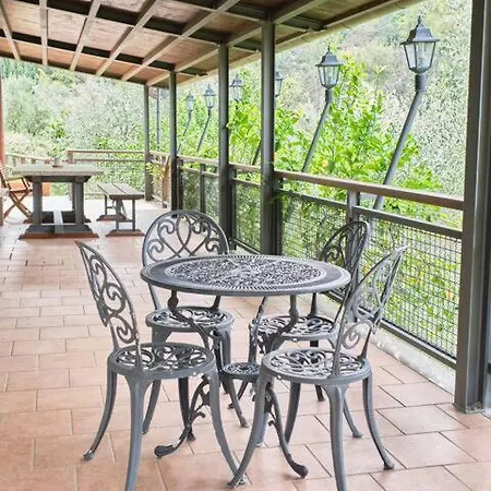 Tenuta Collalceppo Nocchi